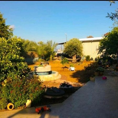 בחצר של טובה Διαμέρισμα Hazon Εξωτερικό φωτογραφία
